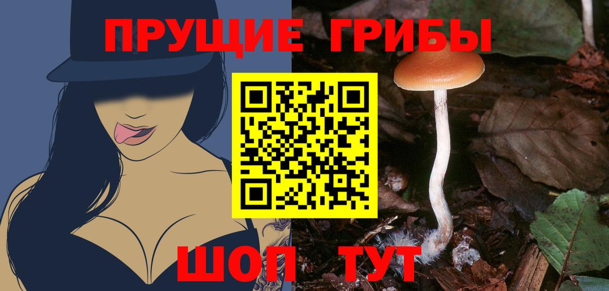 Псилоцибиновые грибы прущие грибы  как найти   Армавир  Вход с VPN 
